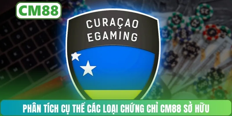 Phân tích cụ thể các loại chứng chỉ CM88 sở hữu
